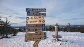 Budorrennet 7 januar 2017 Resultatliste